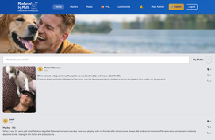 Mentored by Mutts Story